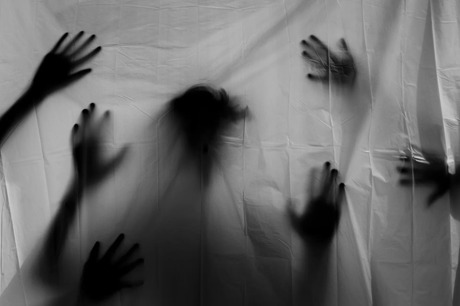 hands 3777403 1920 jpg webp